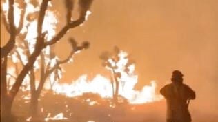 Cima Dome Fire burns 42,800 acres.